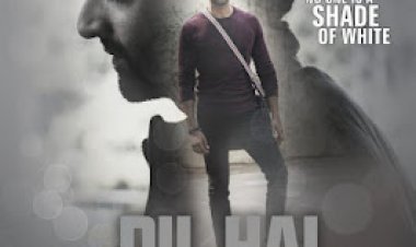 क्राइम थ्रिलर फिल्म 'दिल है ग्रे' जुलाई में होगी रिलीज़