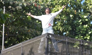 फ़िल्म चिड़ियाखाना के हाथ लगी कामयाबी