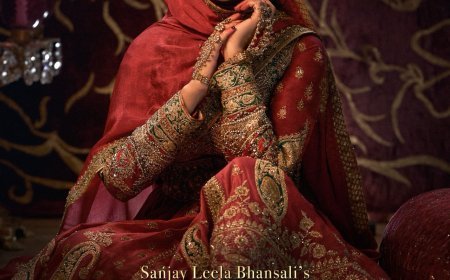 संजय लीला भंसाली ने नेटफ्लिक्स लॉन्च डे पर हीरामंडी के शानदार सोलो पोस्टर्स को किया रिलीज