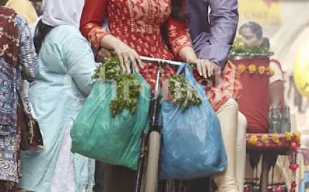 सलमान खान की 'बजरंगी भाईजान' की 9वीं एनिवर्सरी पर मेकर्स ने जारी किया BTS वीडियो