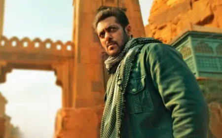 टाइगर 3 की पहली सालगिरह: सलमान खान की स्पाई यूनिवर्स की सबसे बड़ी हिट