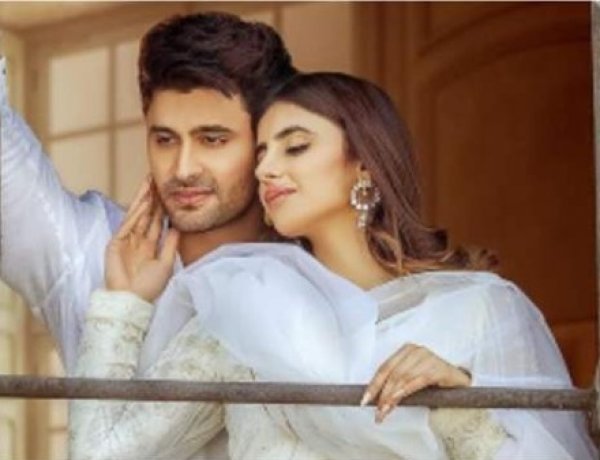Tere Bin : Ieshaan Sehgaal and Miesha Iyer pair up for their first collaboration post break-up