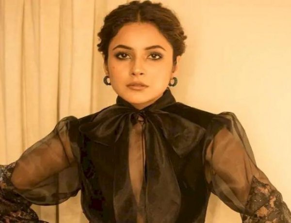 Shehnaaz Gill Dances To The Song 'Zhingat', VIDEO Is Going Viral