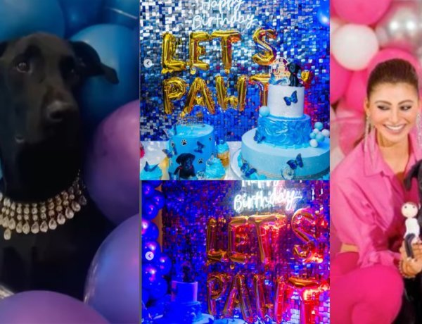 Urvashi Rautela gifts diamond necklace to her dog Oscar Rautela celebrates luxurious birthday