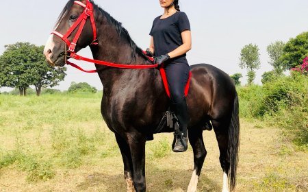Bollywood Actress & Equestrian, Preeti Verma, Recognized by India Book of Records for Exceptional Achievement in Thar Desert Riding
