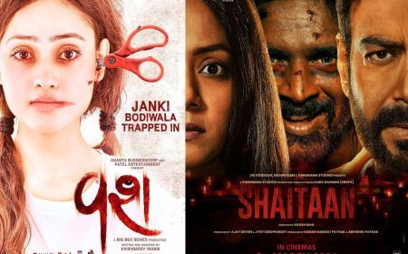 Gujarati Cinema Shines: 'Vash' Remake 'Shaitaan' Signals Bollywood Evolution